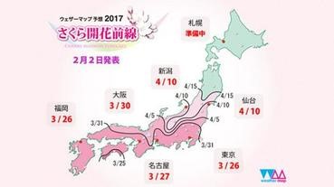 【早期預測】2017年日本櫻花開花日子