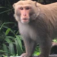 山城楓之谷