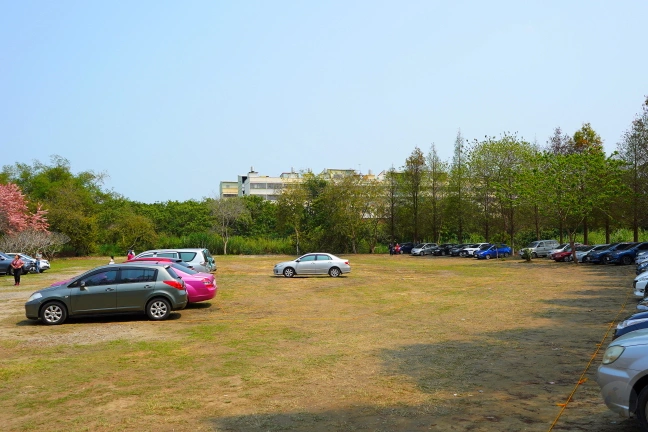 中部景點,斗六景點,斗六花旗木,近水樓台,近水樓台湖畔森林咖啡,近水樓台湖畔森林咖啡交通資訊,近水樓台湖畔森林咖啡停車場,近水樓台湖畔森林咖啡停車場花旗木,近水樓台湖畔森林咖啡門票,雲林IG打卡點,雲林景點,雲林網美景點,雲林花旗木近水樓台湖畔森林咖啡花旗木