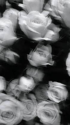 Petals !n the Wind