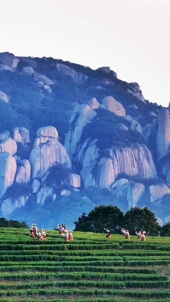 龍的口水美照🐲