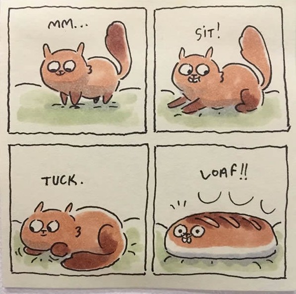 貓奴們必懂！20張與貓生活日常漫畫：半夜不睡覺，早上吃罐罐！