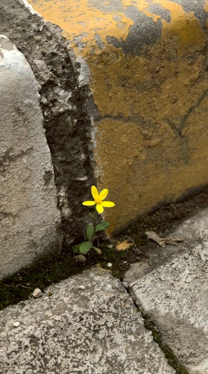 คุยเล่น/วาดรูป **