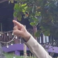 รอบรั้วม่วงยาย