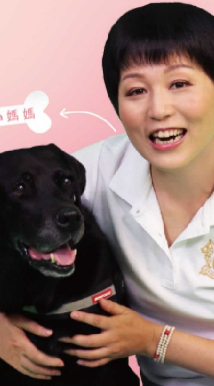 桃園區寶慶里資訊平台