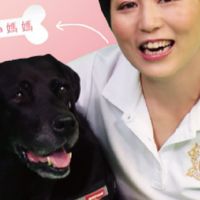 桃園區寶慶里資訊平台