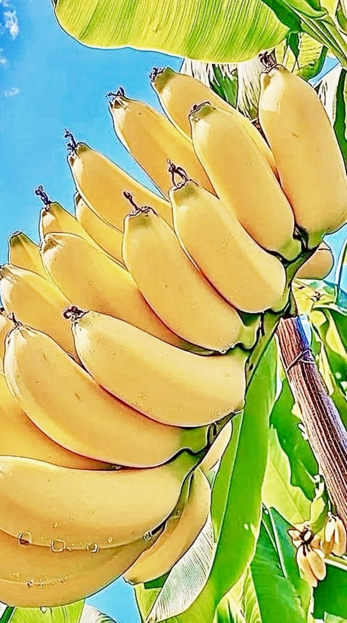 ⭐スタンプ&綺麗画像⭐50歳⭐50代⭐60歳⭐60代⭐