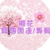 櫻花韓團代購🌸