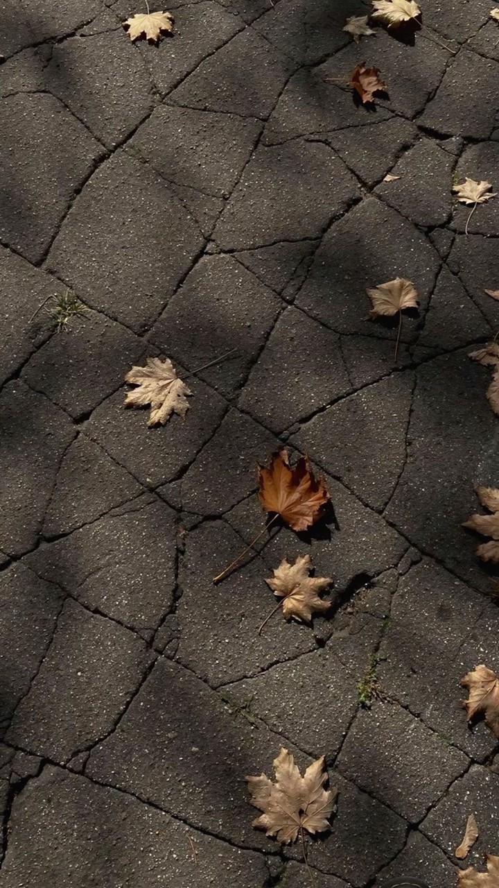 Tokyo - Sendai