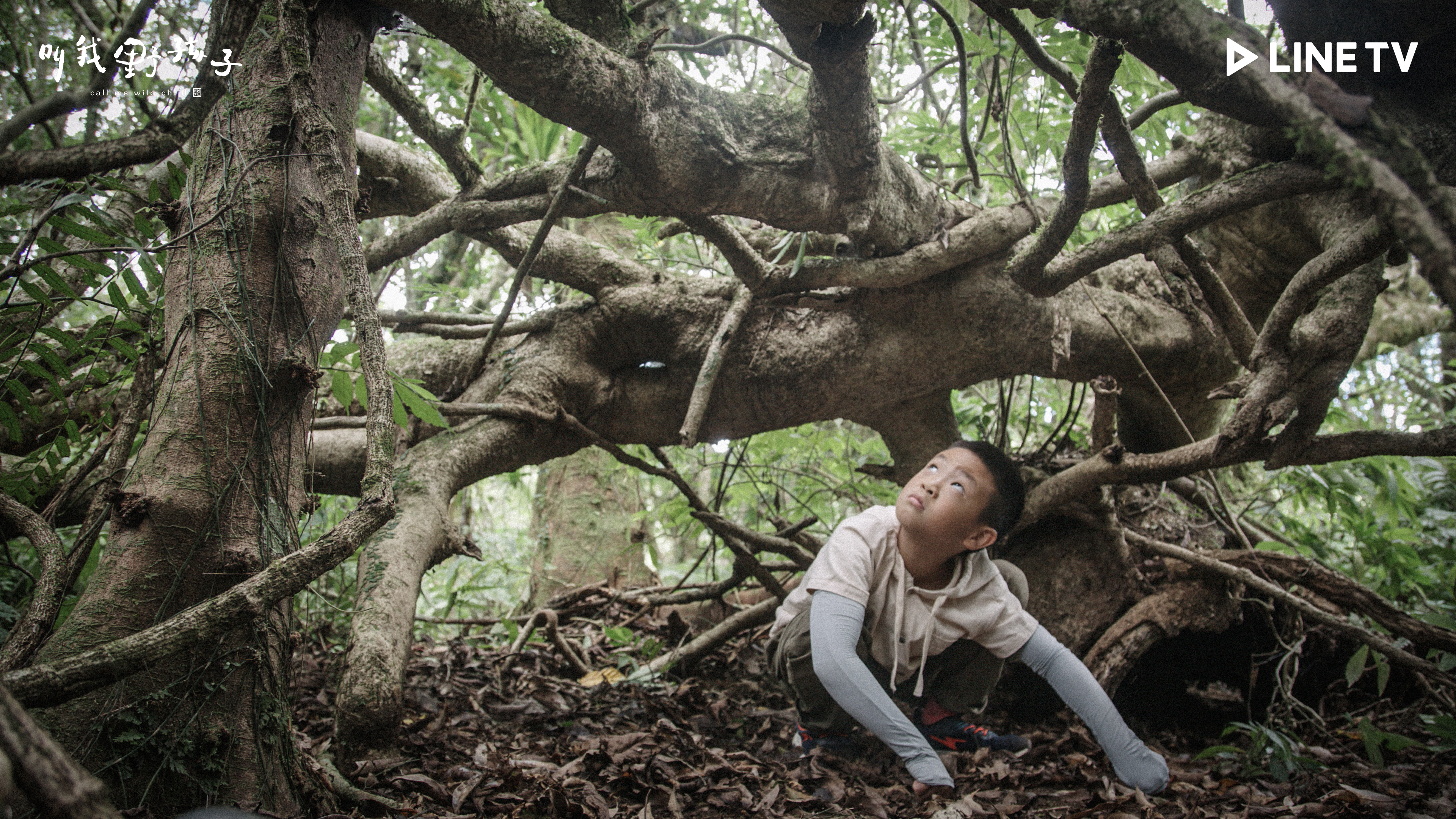 圖片提供/ LINE TV