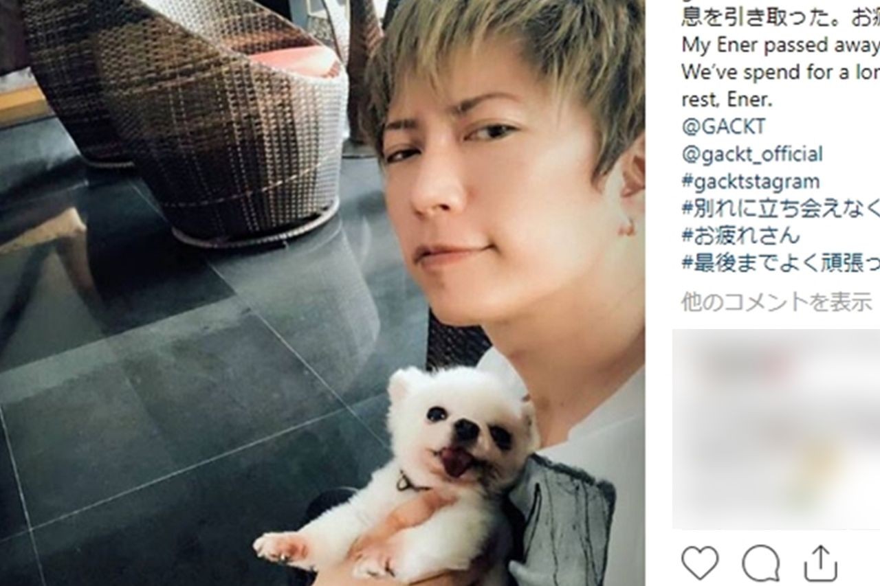 GACKTが活動復帰も「TKO木本よりヤバイ」過去の詐欺疑惑が掘り返される理由（週刊女性PRIME）