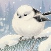 視覚障害者いろいろ雑談(健常者の方や他の障害をお持ちの方も大歓迎です！)