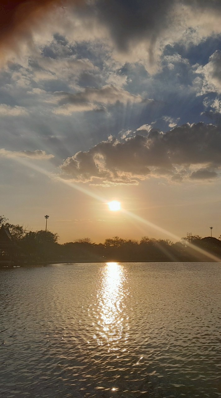 อาสาสมัครชีวะงานฟรี