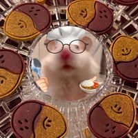幾厚呷·鼠鼠交流群