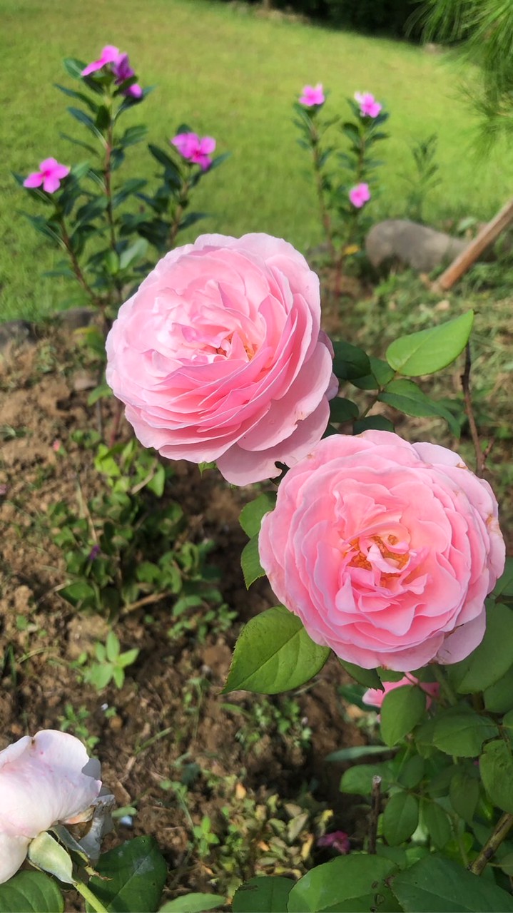 全台精品服飾&包包交流群🌸
