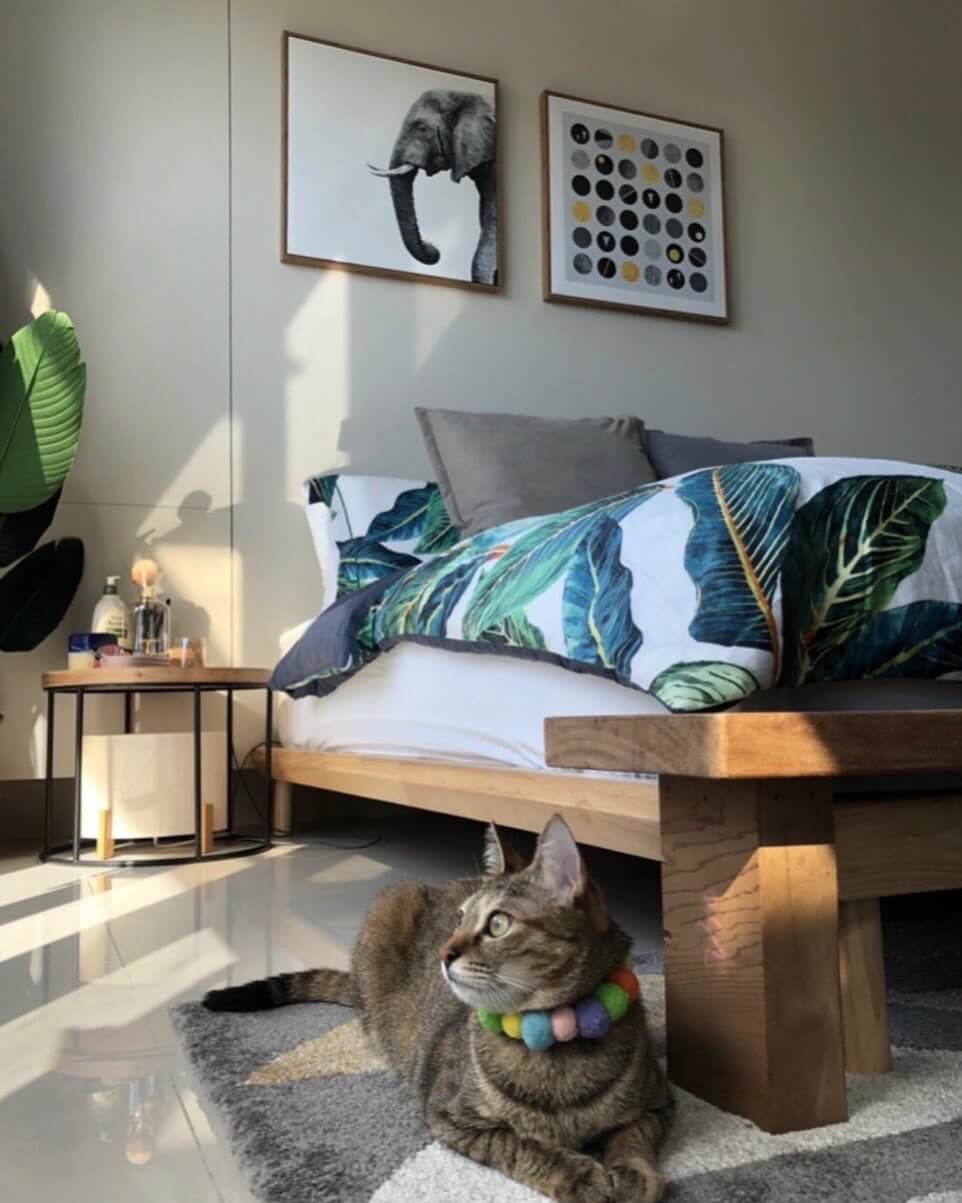 Sili Mu 248061114 935748107152160 2875430112449750870 N