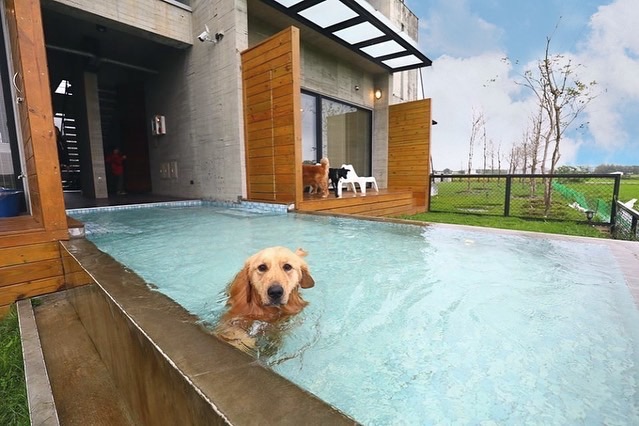 方舟島 @rockynimelo(1)