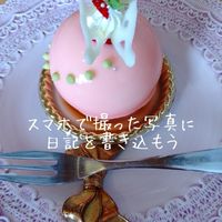 スマホ写真で絵日記(女性専用)
