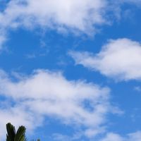 生活 時勢 疫情 資訊