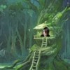 真デデデの森
