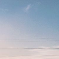 你家的貓