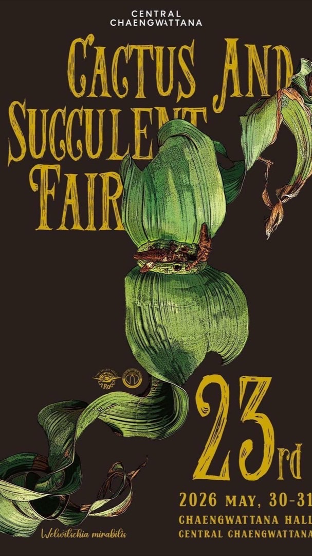 Cactus & Succulents Fair 23