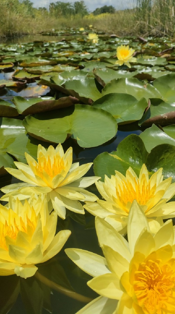 หมู่ 7 บ้านดงเจริญ