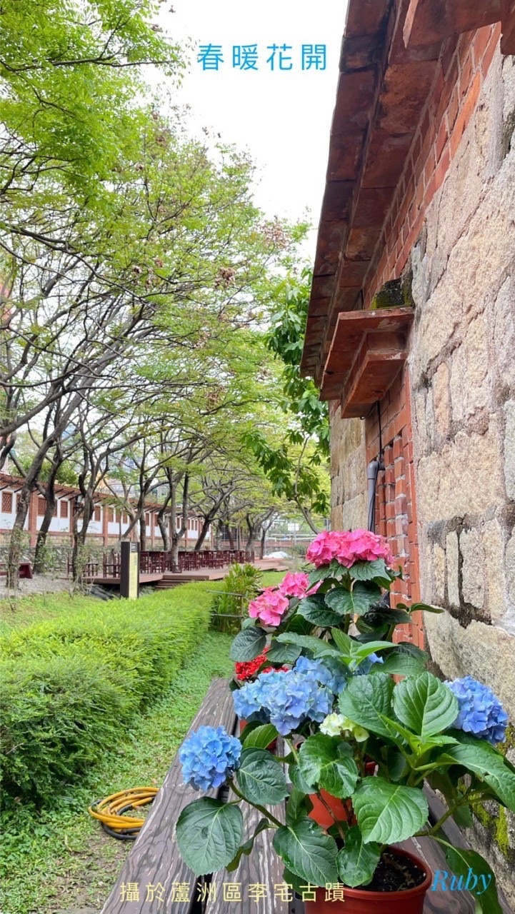 🌻寶珠愛閲讀
