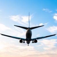 海外移住✈️🏡