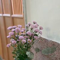 美可勸敗9/5-10韓國佛系代購