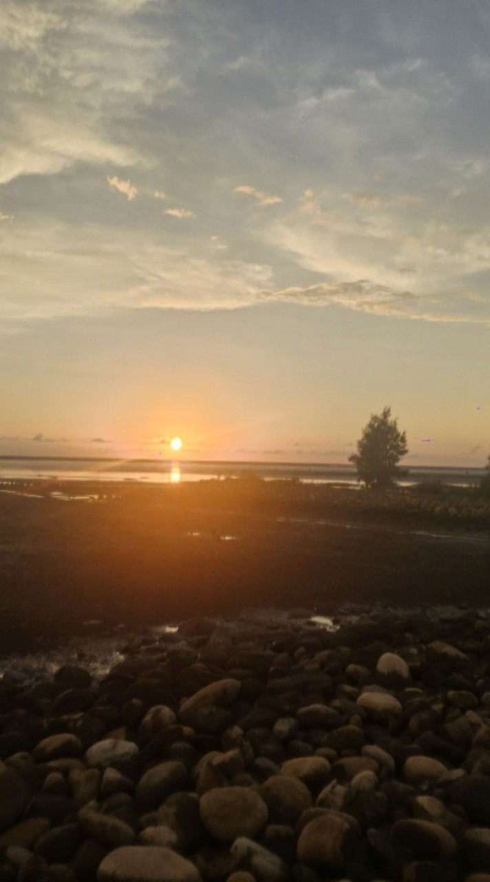 💰創造巔峰💰