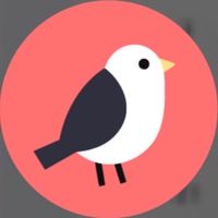 UI Design