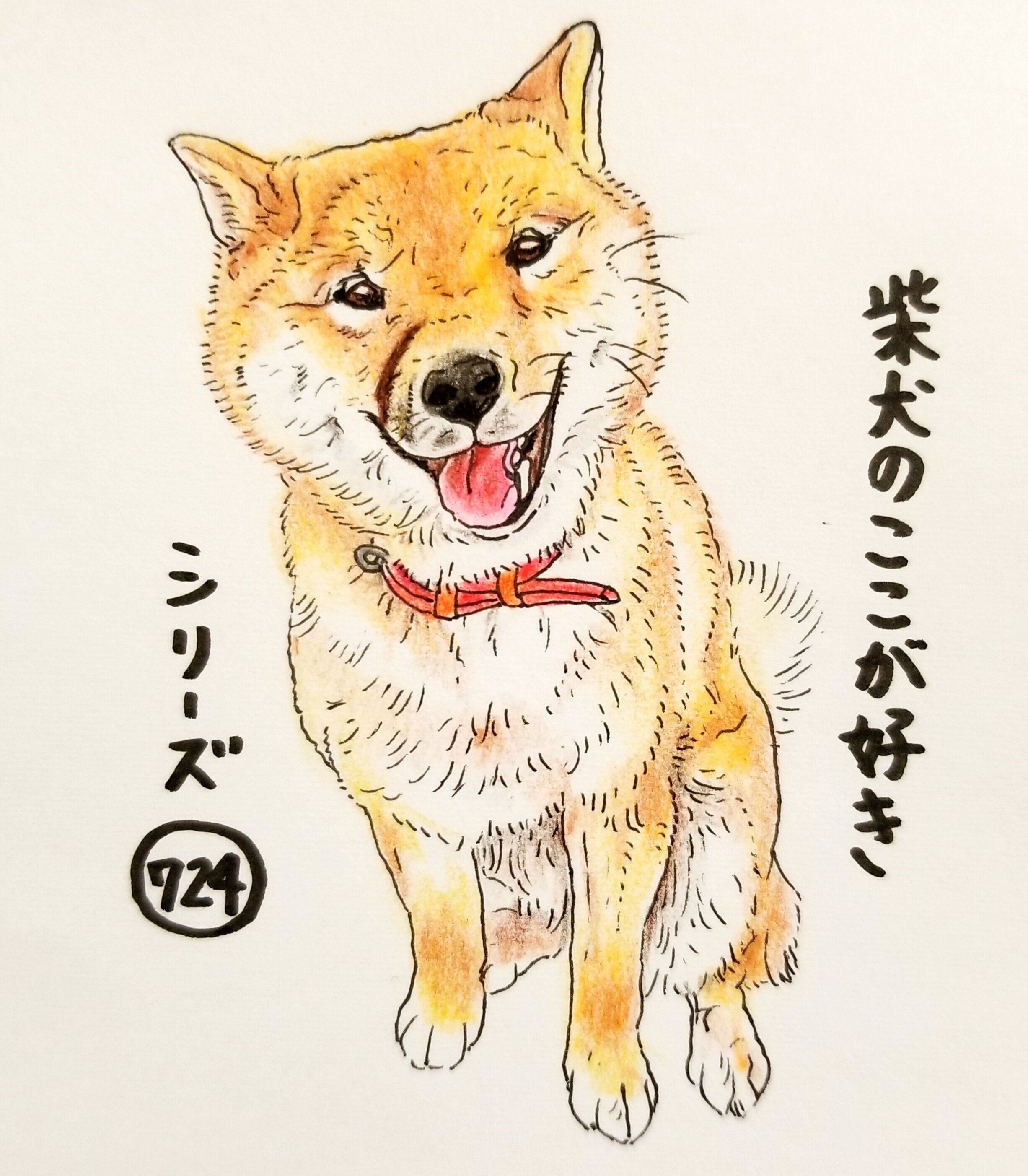 柴犬あるある 気がつかないうちに顔に落書きをつけてきちゃうとこ 連載 ここ掘れここ柴 Vol 124 いぬのきもちnews