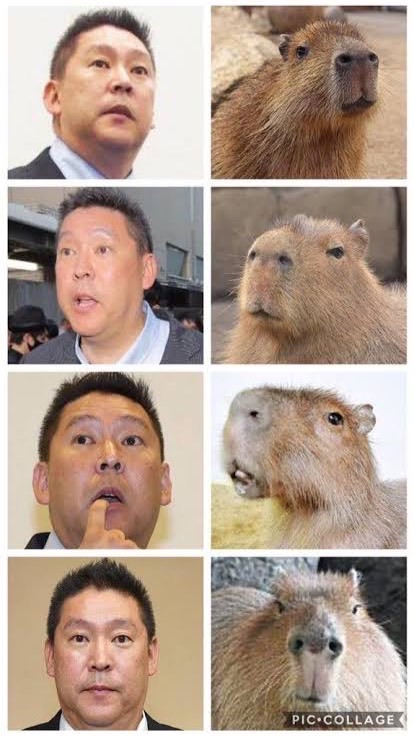 立花孝志と愉快な仲間たち