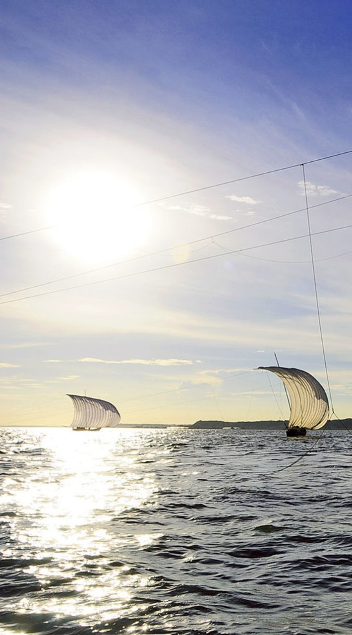 動画共有部屋（茨城共栄圏）