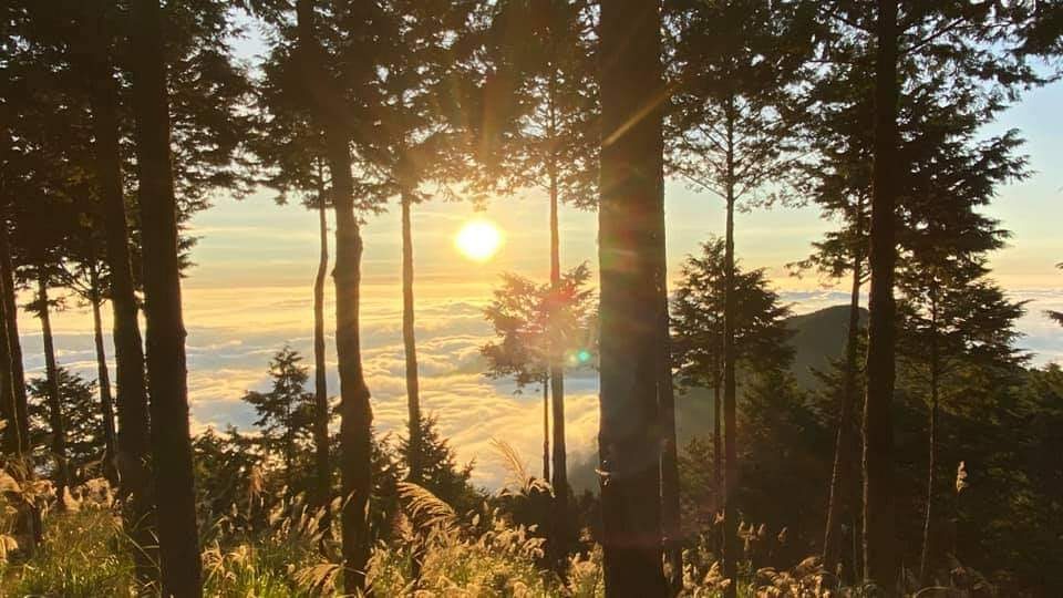 圖片來源/阿里山國家森林遊樂區-LINE熱點用戶