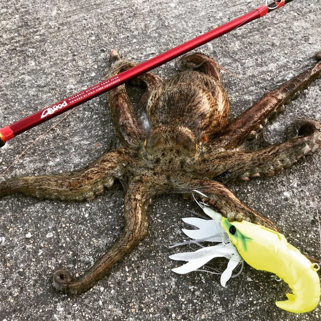 吉田遊プロデュース オーナーばりの スリ抜けバレット を夏のカバーゲームに ルアーニュースｒ