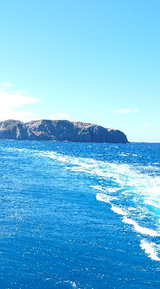 千葉 釣り ショアジギング