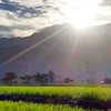 鏟子超人光復鄉馬太鞍消息互通群
