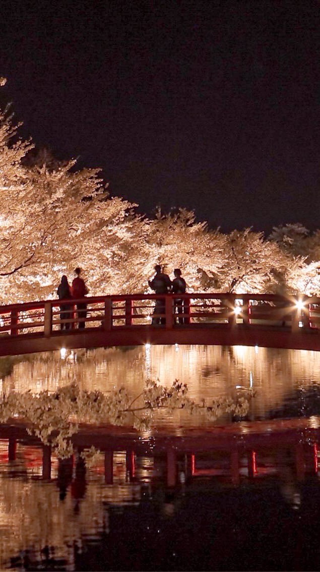 🌸須坂市情報交換所🍎🍇🍐🍏🍒🌰
