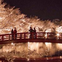 🌸須坂市情報交換所🍎🍇🍐🍏🍒🌰