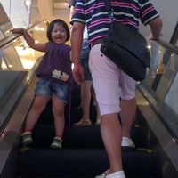 黃小豬跟小民主