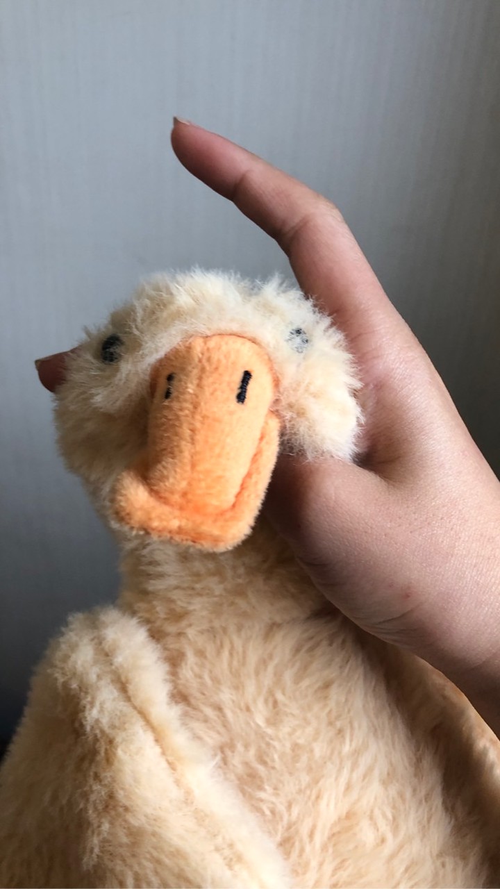 (◐‿◑)﻿聊天群🧸