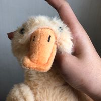 (◐‿◑)﻿聊天群🧸