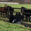 馬が大好きな人歓迎します！