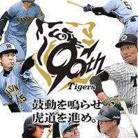 阪神タイガース応援団