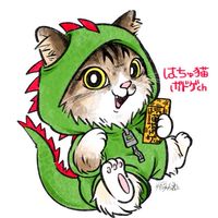 【大阪】はちゅ猫ボドゲ会【ボードゲーム】