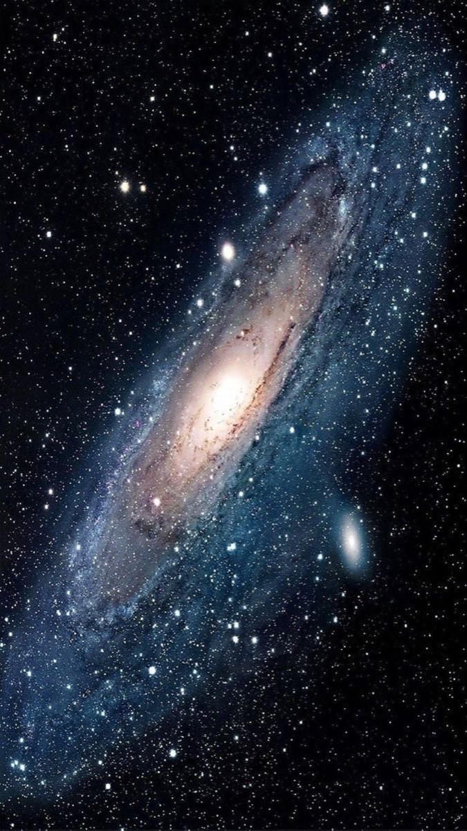 星芯種子