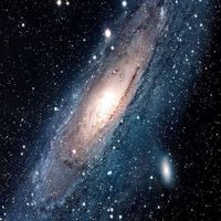星芯種子