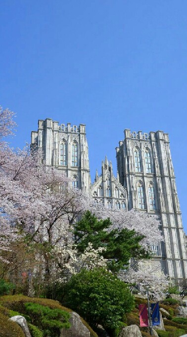 {โรล-โรงเรียนเวทมนต์(เเฟนตาซี-)
